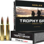 NOSLER TROPHY GRADE 30 NOSLER - 180GR ACCUBOND 20RD 10BX/CS