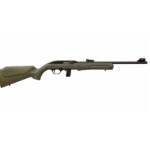ROSSI RS22 22LR BLK/ODG 18" 10+1