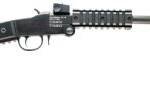 CHIAPPA FIREARMS LITTLE BADGER 17HMR 16.5"
