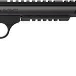 BROWNING BUCKMARK HUNTER - VARMINT 22LR 10.5" SR LAMINATE