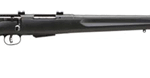 SAVAGE 25 WALKING VARMINTER - 204 22" ACCU TGR BLUE/BLK SYN