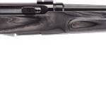 SAVAGE A17 17HMR HVY BBL 22" - ACCU TGR BLU/GRY LAM T-HOLE