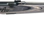 SAVAGE A17 17WSM SPORTER 22" - ACCU TGR BLU/GRY LAM SPORTER