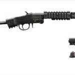 CHIAPPA LITTLE BADGER 22LR - TDX CARBON FIBER SHROUD 16.5"