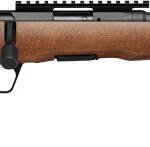 SAVAGE B17 TIMBER THUMBHOLE - 17HMR 18" 10RD BLUED/WOOD