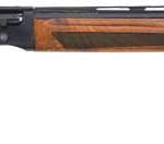 TRISTAR MATRIX INERTIA 20GA 3" - 26" BLUED WALNUT