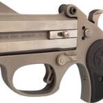 BOND ARMS STINGER RS 22LR - 3" MATTES SS NYLON GRIP