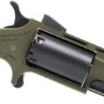 NAA HUNTSMAN MINI-REVOLVR - 22LR/22WMR 2" FIXED OD GRN
