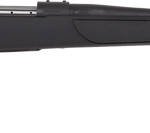 WEATHERBY VANGUARD OBSIDIAN - 243 WIN 22" BLACK/BLACK SYN