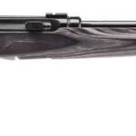 SAVAGE ARMS A17 TARGET 17HMR BL/LAM 22"