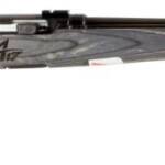 SAVAGE ARMS A17 SPORTER 17HMR BL/LAM 22"