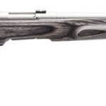 SAVAGE ARMS B.MAG 17WSM SS/LAM THBHL HVBBL