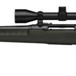 SAVAGE ARMS AXIS 2 243WIN BL/GRN PKG LH