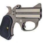 BOND ARMS HONEY-B 22MAG SS 3" FS EXT GRP