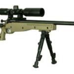 KEYSTONE SPORTING ARMS CRICKETT CPR 22MAG BL/TAN PKG