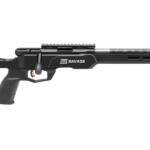 SAVAGE ARMS B17 PRECISION LITE 17HMR 18"