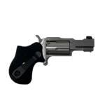 NORTH AMERICAN ARMS 22MAG 1-5/8" RULE 1 SS XS SGHT