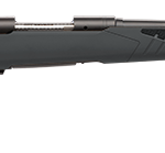 SAVAGE ARMS 110 HUNTER 243WIN BL/SYN 22" #