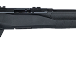 SAVAGE ARMS B17 COMPACT 17HMR BL/SYN 18"