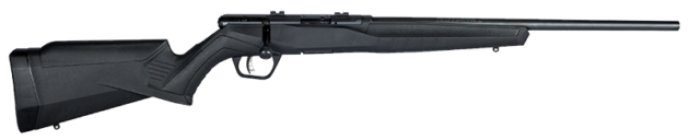 SAVAGE ARMS B17 COMPACT 17HMR BL/SYN 18"