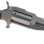 NORTH AMERICAN ARMS THE EARL 22LR/22MAG 3" SS 5SH