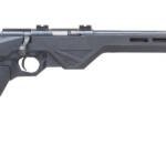 LEGACY SPORTS INTERNATIONAL CITADEL TRAKR BLT 22LRR BK 18"