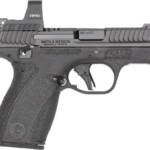S&W BODYGUARD 2.0 RFX1 SIGHT - 380ACP 10/12 RD MAG BLK SAFETY