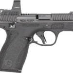 S&W BODYGUARD 2.0 RFX1 SIGHT - 380ACP 10 RD MAG BLK SAFETY