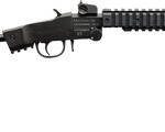 CHIAPPA LITTLE BADGER 22LR - TAKE DOWN EXTREME 16.5" MATTE