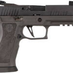 SIG SAUER P320 XCARRY LEGION 9MM 10+1