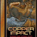 WINCHESTER COPPER IMPACT 350 - LEGEND 150GR 20RD 10BX/CS