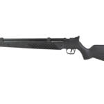 CROSMAN C3622S PCP .22 BLK