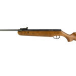 CROSMAN VANTAGE NP .22 WOOD