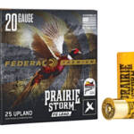 FED PR STORM 20GA 2.75" #5 LD 25/250