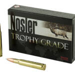 NOSLER 30-06 165GR AB 20/200