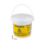 REM GOLDEN BULLET 22LR HV 36GR HP