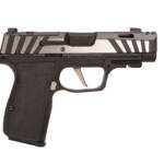 SIG SAUER P365 AXG EQUINOX 9MM 3.1" 12+1
