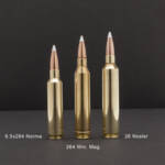 NOSLER TROPHY GRADE LR 26 - NOSLER 142GR ABLR 20RD 10BX/CS